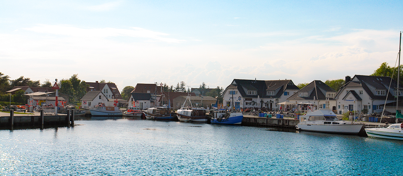 Vitt auf Hiddensee